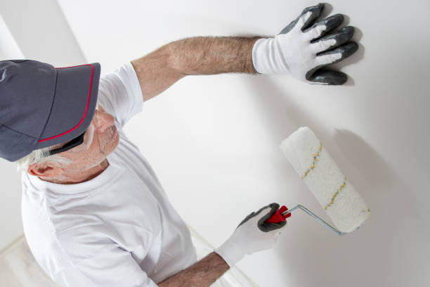 Best Drywall Crack Repair  in Channahon, IL