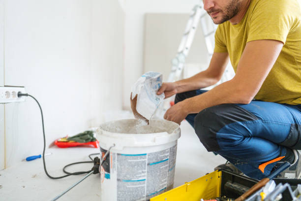 Best Drywall Sanding and Smoothing  in Channahon, IL