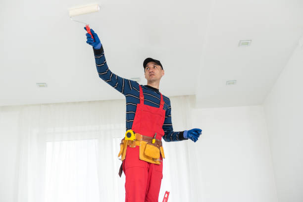 Best Drywall Removal and Disposal  in Channahon, IL