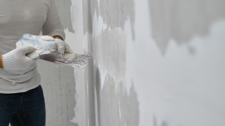 Best Drywall Removal and Disposal  in Channahon, IL