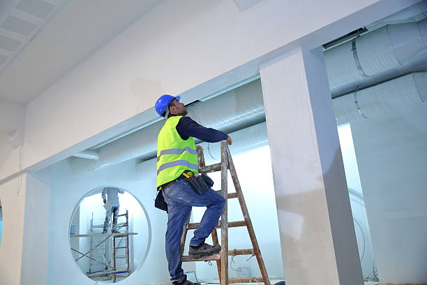 Best Eco-Friendly and Low-VOC Painting  in Channahon, IL